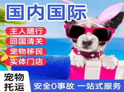 重庆航空快运国际宠物托运 【国
